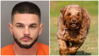 abuso sexualmente de un perro y destruyo el pesebre de una iglesia abuso sexualmente de un perro y destruyo el pesebre de una iglesia