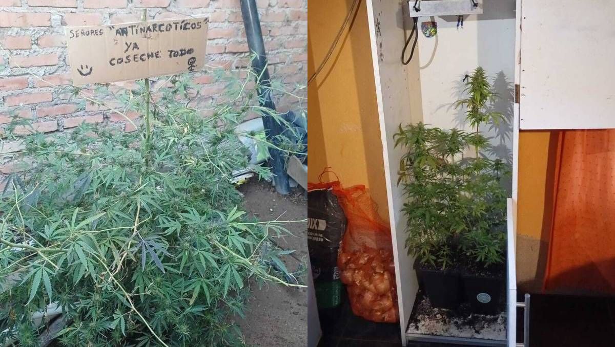 Ya coseché todo: por qué dejaron el cartel y qué encontró la Policía en las casas allanadas