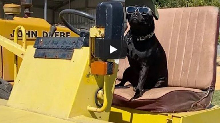 El video viral no deja de sumar reproducciones en YouTube