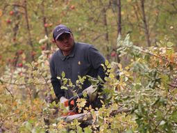 detras de cada fruta, una historia de vida detras de cada fruta, una historia de vida
