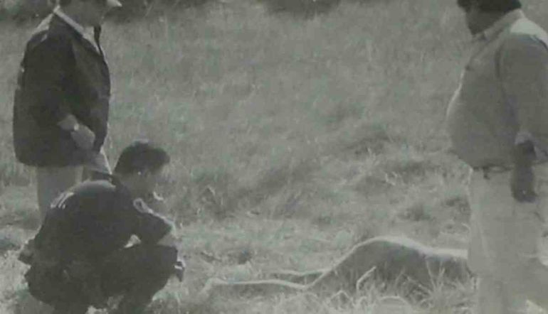 Los asesinatos seriales jamás resueltos de Argentina II: el Loco de la Ruta