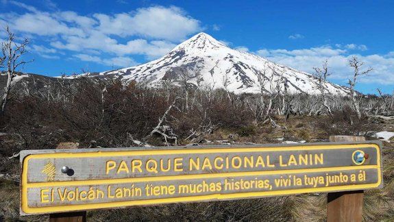 Cotesma y el proyecto que llevará internet al Parque Nacional Lanín