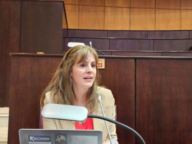 Los enfermeros de Neuquén cuentan con una ley de promoción. Gentileza Los enfermeros de Neuquén cuentan con una ley de promoción. Gentileza