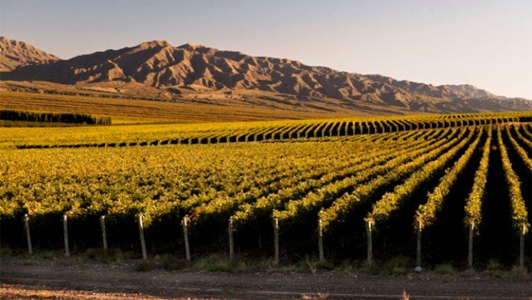 Wines of Argentina presentó su plan de negocios digital