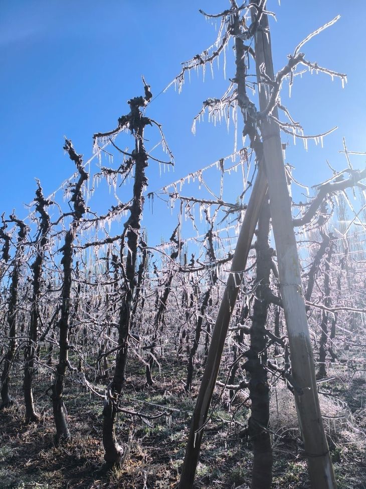 Por segundo día consecutivos el Valle sufre temperaturas mínimas extremas. Por segundo día consecutivos el Valle sufre temperaturas mínimas extremas.