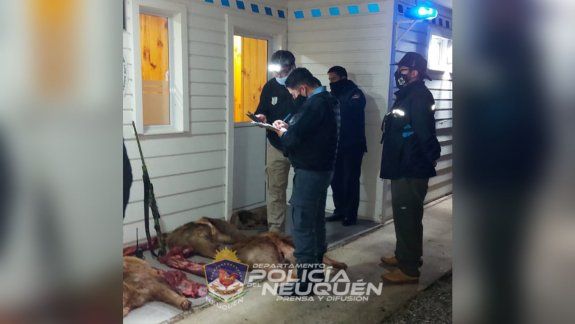 Probation y donaciones al hospital para cazadores furtivos
