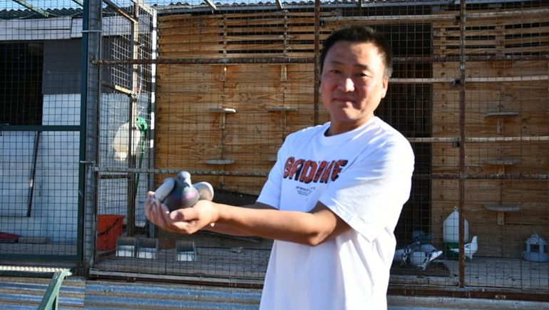El chino de Rincón que fue campeón con su paloma mensajera