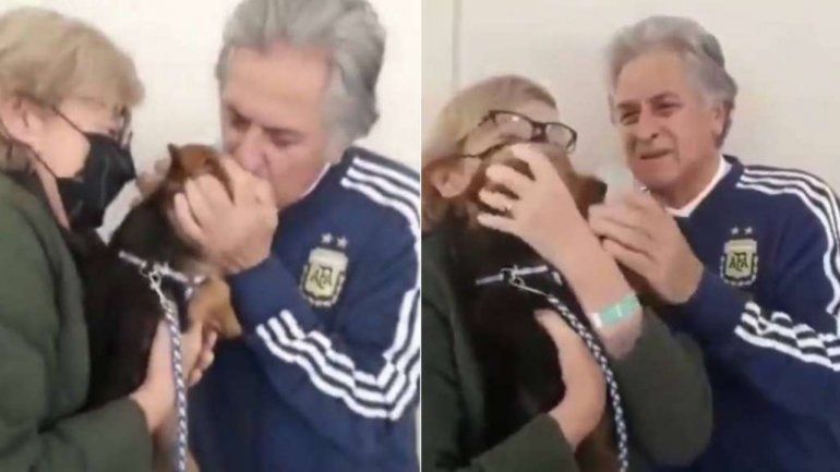 Conmovedor video: el reencuentro de Fillol con su perrito, tras zafar del Covid