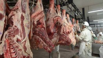 La reapertura sanitaria permitió retomar envíos, aunque el nuevo esquema impositivo dejó fuera a varios exportadores. | LM Neuquen La reapertura sanitaria permitió retomar envíos, aunque el nuevo esquema impositivo dejó fuera a varios exportadores.