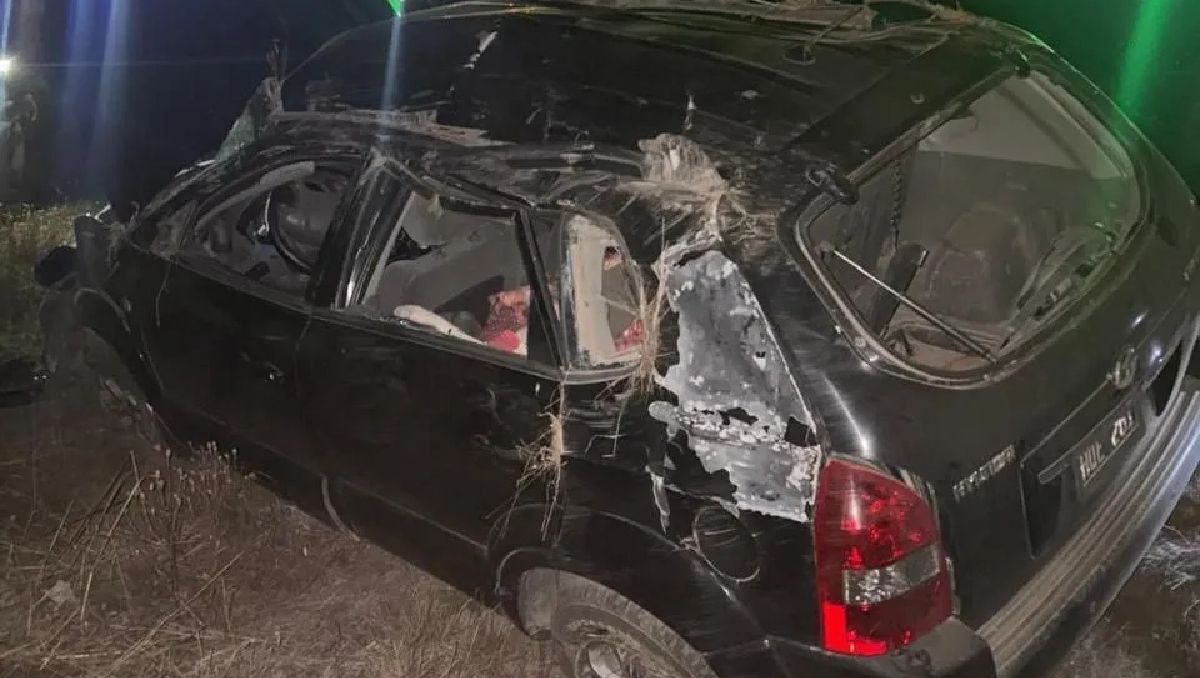 Ruta 40: sufrió un fuerte vuelco y el auto quedó destrozado tras intentar esquivar a un zorro