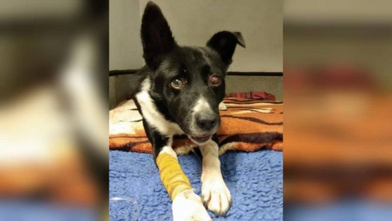 La viral historia de Jake