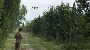 Con foco en la inocuidad y la competitividad, la plataforma analiza plaguicidas, tiempos de carencia y requisitos internacionales para la fruticultura del Alto Valle. | LM Neuquen Con foco en la inocuidad y la competitividad, la plataforma analiza plaguicidas, tiempos de carencia y requisitos internacionales para la fruticultura del Alto Valle.