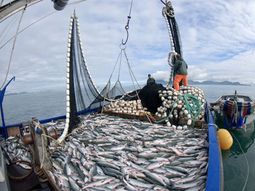 santa cruz busca realizar un censo pesquero para planificar el sector santa cruz busca realizar un censo pesquero para planificar el sector