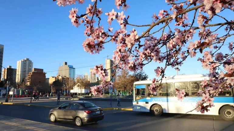 Ocho provincias bajo alerta por vientos fuertes. Ocho provincias bajo alerta por vientos fuertes.