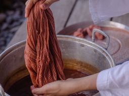 Fueron seleccionados 12 de 136 proyectos. Fueron seleccionados 12 de 136 proyectos.