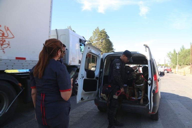 Sorpresivo operativo en el puente carretero: ¿qué buscaba la Municipalidad?