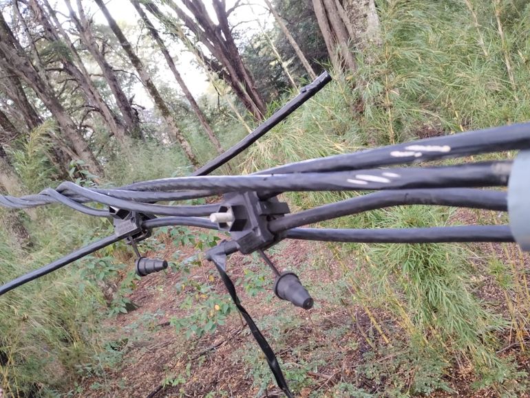 ¡Qué peligro! Conexión clandestina mapuche pone en riesgo el bosque de Villa La Angostura