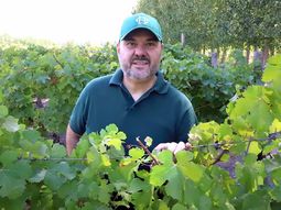 Horacio Bibiloni: Un viñedo llega a ser viejo porque es bueno y da calidad. Horacio Bibiloni: Un viñedo llega a ser viejo porque es bueno y da calidad.