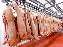 Mercado sobre ofertado. Las importaciones comienzan a incidir en este contexto. Mercado sobre ofertado. Las importaciones comienzan a incidir en este contexto.