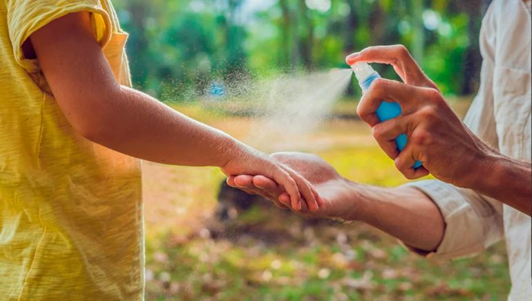 Un repelente de insectos fue prohibido por la ANMAT. Un repelente de insectos fue prohibido por la ANMAT.