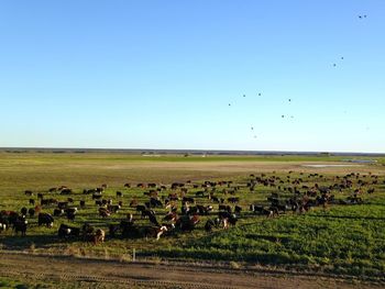 Del abandono a la precisión agrícola: el caso que marca tendencia.