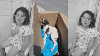 el llanto de pili que conmovio a neuquen y un video que exige decir basta al maltrato animal