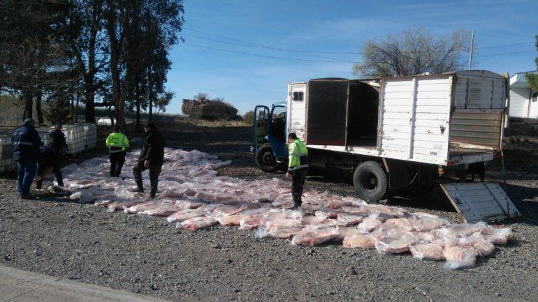 Decomisaron un cargamento millonario de carne ilegal escondido en contenedores químicos