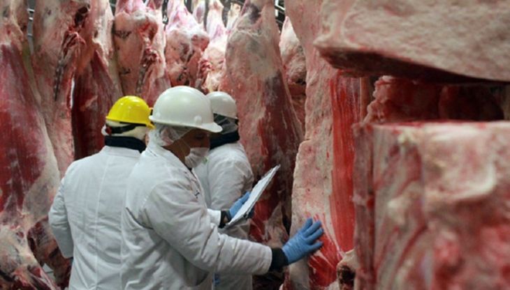 Carne en alza: el asado casi duplic&oacute; la inflaci&oacute;n y marca un nuevo r&eacute;cord en d&oacute;lares