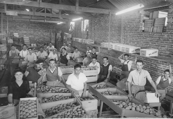 La expansión de la fruticultura transformó al Alto Valle, pero también generó profundas disputas por el control del negocio. La expansión de la fruticultura transformó al Alto Valle, pero también generó profundas disputas por el control del negocio.
