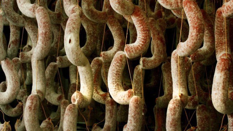 Neuquén rechazó las modificaciones que propone Senasa