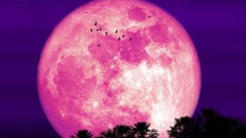 La Luna de Fresa es la primera Luna Llena del año y está cargada de simbolismo. La Luna de Fresa es la primera Luna Llena del año y está cargada de simbolismo.