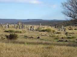 La Patagonia, en la mira de muchos inversores. La Patagonia, en la mira de muchos inversores.