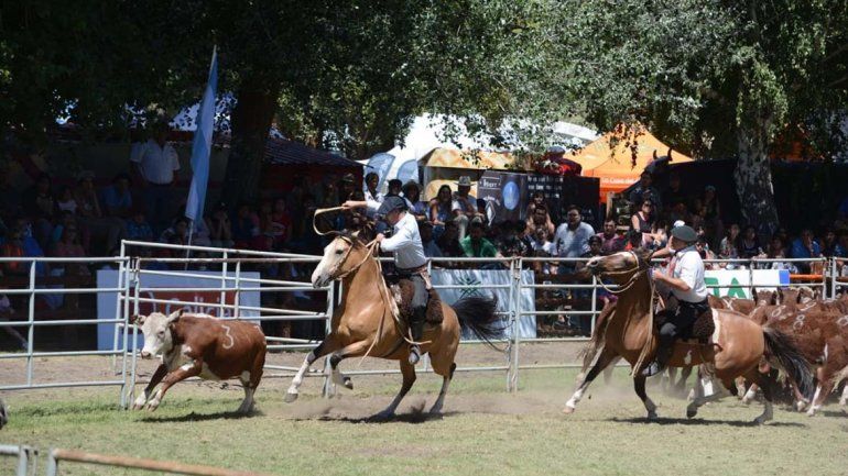 Ya se palpita una nueva edición de la Expo Rural de Junín
