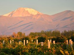 La potencialidad es enorme. La potencialidad es enorme.