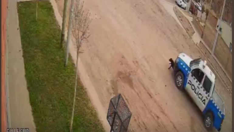 Denuncian que un patrullero atropelló, mató y dejó tirada a una perrita en Neuquén