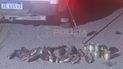 detectaron 11 infracciones por pesca nocturna y secuestraron 18 truchas en un operativo