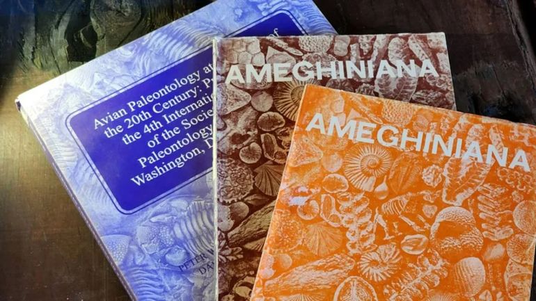 Biblioteca de Ciencias Geológicas “José Ignacio Garate Zubillaga”, en el corazón del Museo Provincial de Ciencias Naturales Profesor Doctor Juan A. Olsacher, en Zapala. Biblioteca de Ciencias Geológicas “José Ignacio Garate Zubillaga”, en el corazón del Museo Provincial de Ciencias Naturales Profesor Doctor Juan A. Olsacher, en Zapala.