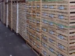 Todos los envases que egresen de las instalaciones de las instalaciones de estos Centros deberán contener de manera visible la Etiqueta de Trazabilidad. Todos los envases que egresen de las instalaciones de las instalaciones de estos Centros deberán contener de manera visible la Etiqueta de Trazabilidad.