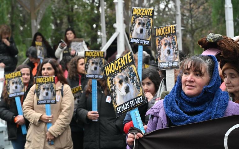Movilización por Alma Vázquez y Perejil en Trelew.