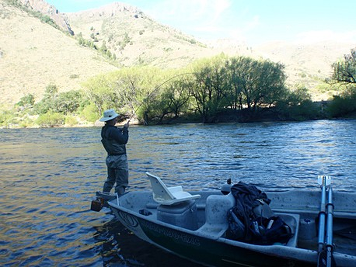 "Aluminé tiene las características de los lugares donde se puede pescar todo el año", afirma Sapag. "Aluminé tiene las características de los lugares donde se puede pescar todo el año", afirma Sapag.