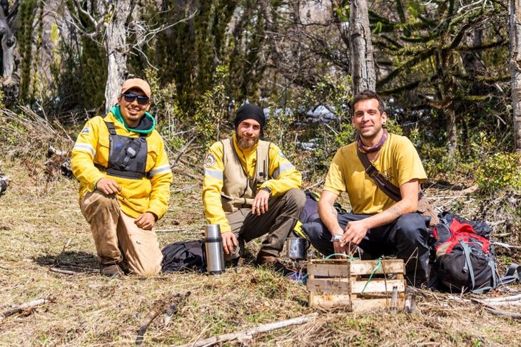 Las campañas de restauración se realizan con un enfoque participativo al convocar a múltiples actores. Foto: gentileza Las campañas de restauración se realizan con un enfoque participativo al convocar a múltiples actores. Foto: gentileza