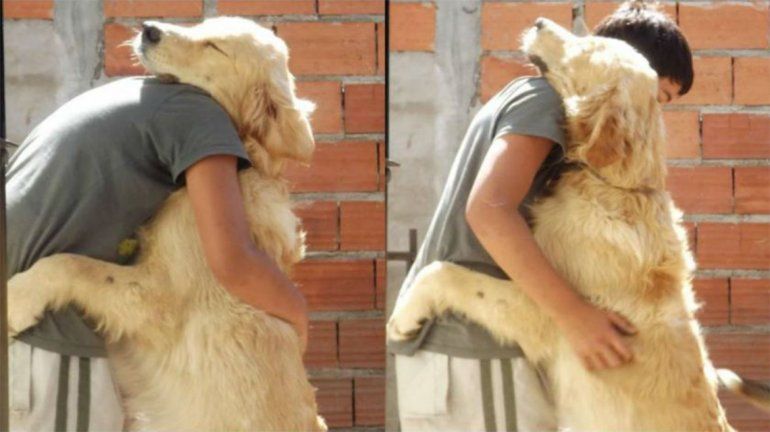 Tandil: apareció el perro por el que su dueña ofreció su auto como recompensa