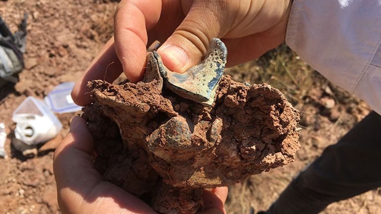 Hallan un continente olvidado de hace 40 millones de años