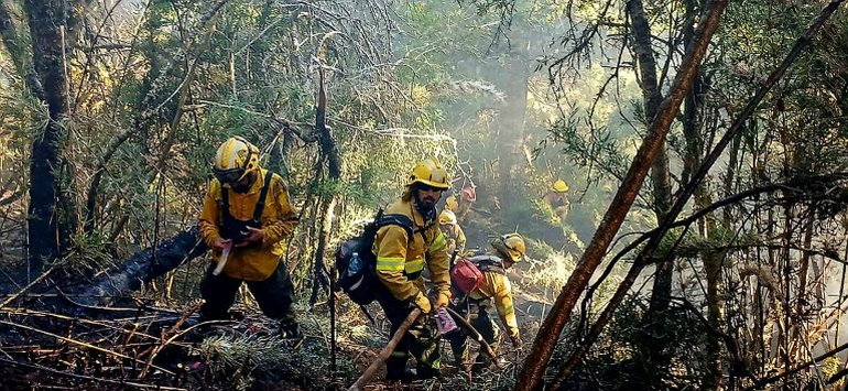 Brigadistas combatiendo el incendio que afecta al Parque Nacional Nahuel Huapi.