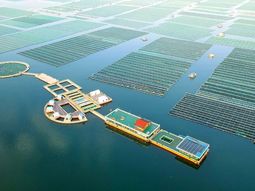 china sorprende al mundo con su megainversion en finanzas sostenibles china sorprende al mundo con su megainversion en finanzas sostenibles