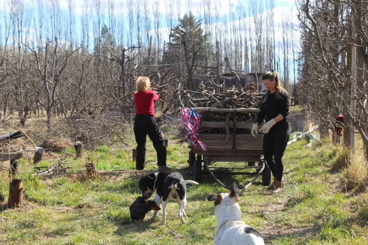 El foco es autonomía económica y toma de decisiones. El plan busca fortalecer el agregado de valor y la comercialización en sistemas productivos. El foco es autonomía económica y toma de decisiones. El plan busca fortalecer el agregado de valor y la comercialización en sistemas productivos.
