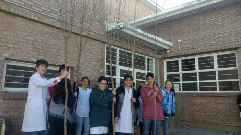 Alumnos de la Escuela 121 plantaron árboles.&nbsp;
