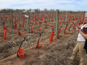 Rosana Jurio, de Impase, la bodega neuquina que nació del amor por la tierra y los sueños hechos realidad.