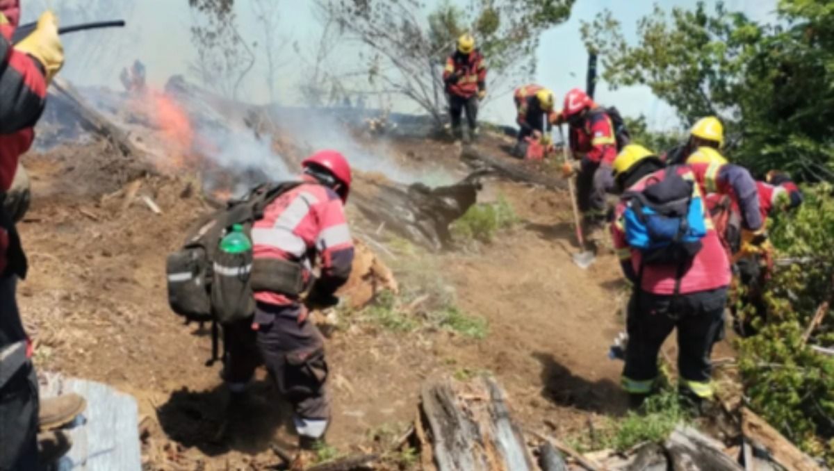 En el momento más crítico del incendio, el operativo de combate en Chubut involucró a más de 110 personas, dos aviones y un helicóptero.