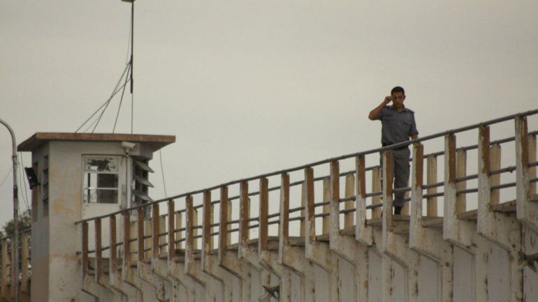 Los Monos y el Rey de la Efedrina podrían ser trasladados a la U9